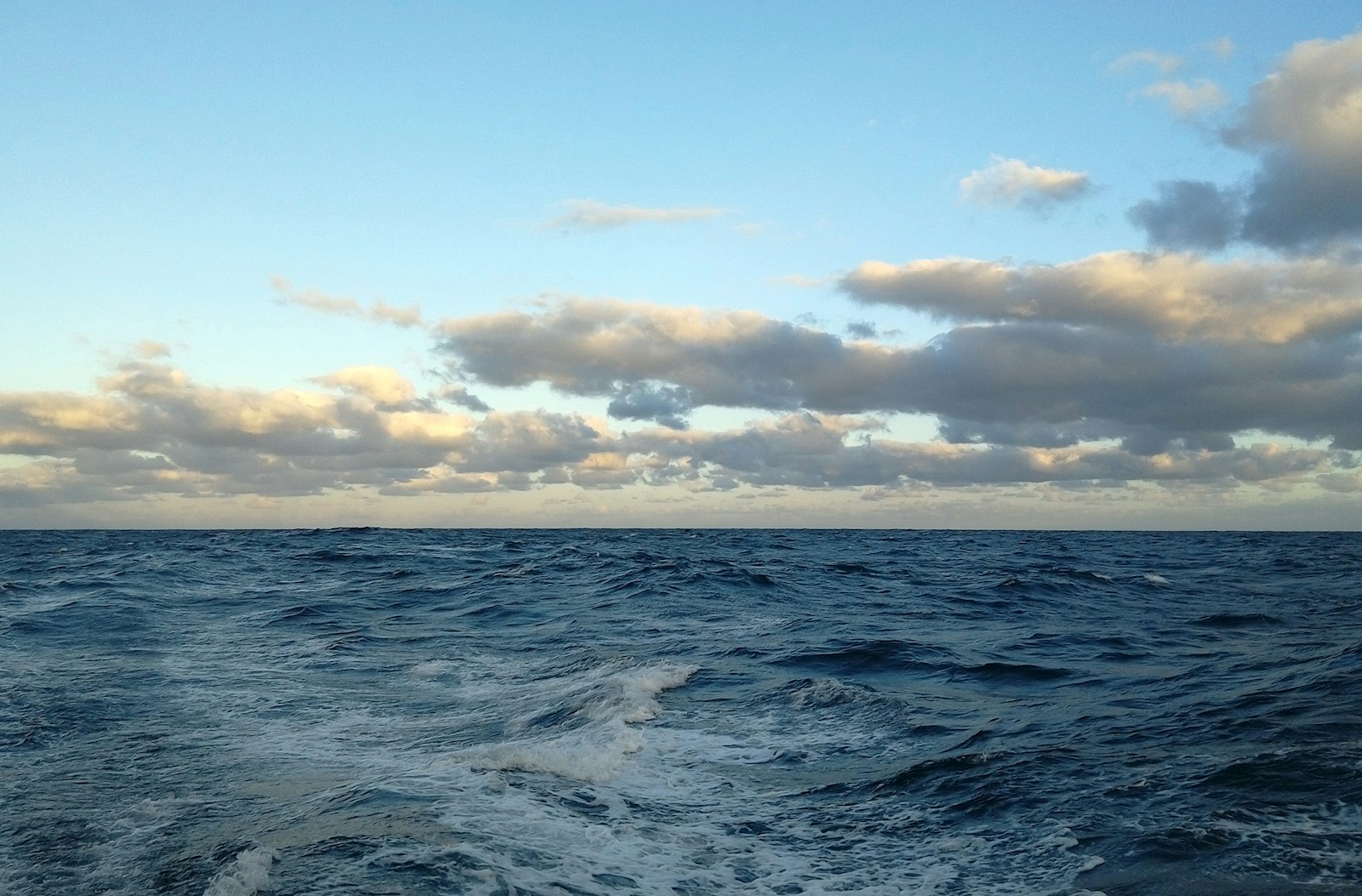 a view of a body of water from a boat