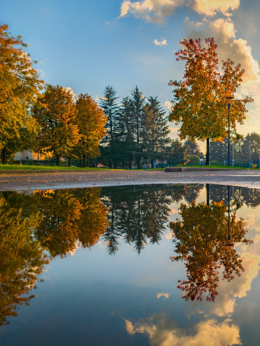 Autumn trees reflected in a puddle under a cloudy sky